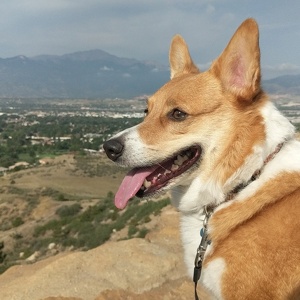 Fundraising Page: Katherine Miller